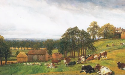 Rinder und Schafe auf der Old Park Farm